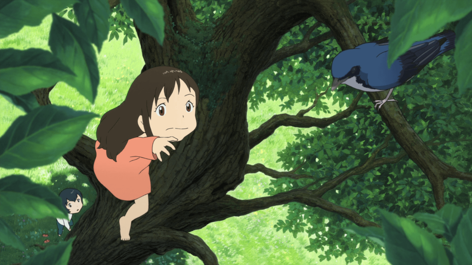 Ame and the bird, Wolf Children Wallpapers and Backgrounds Wallpaper
