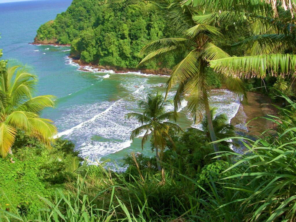 Beach Paradise Dominica Beautiful Palms Ocean Side Beach East