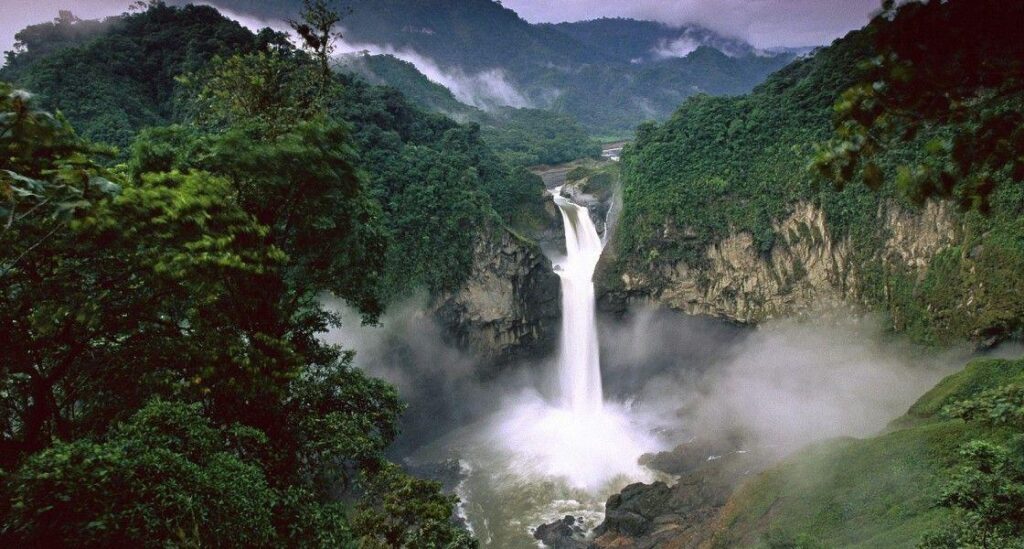 Amazon Rainforest Photo 2K Wallpapers
