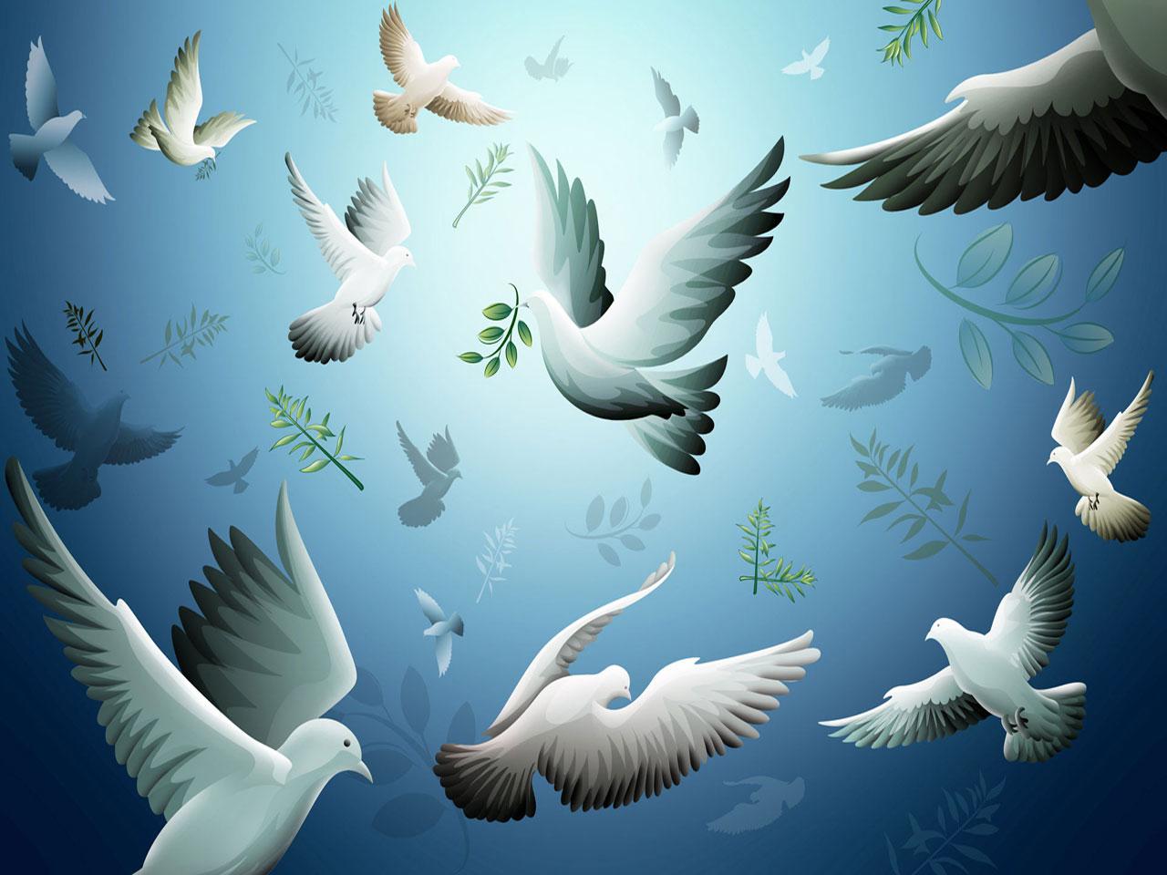 Animated Nature Wallpapers Animated Pigeons Wallpapers