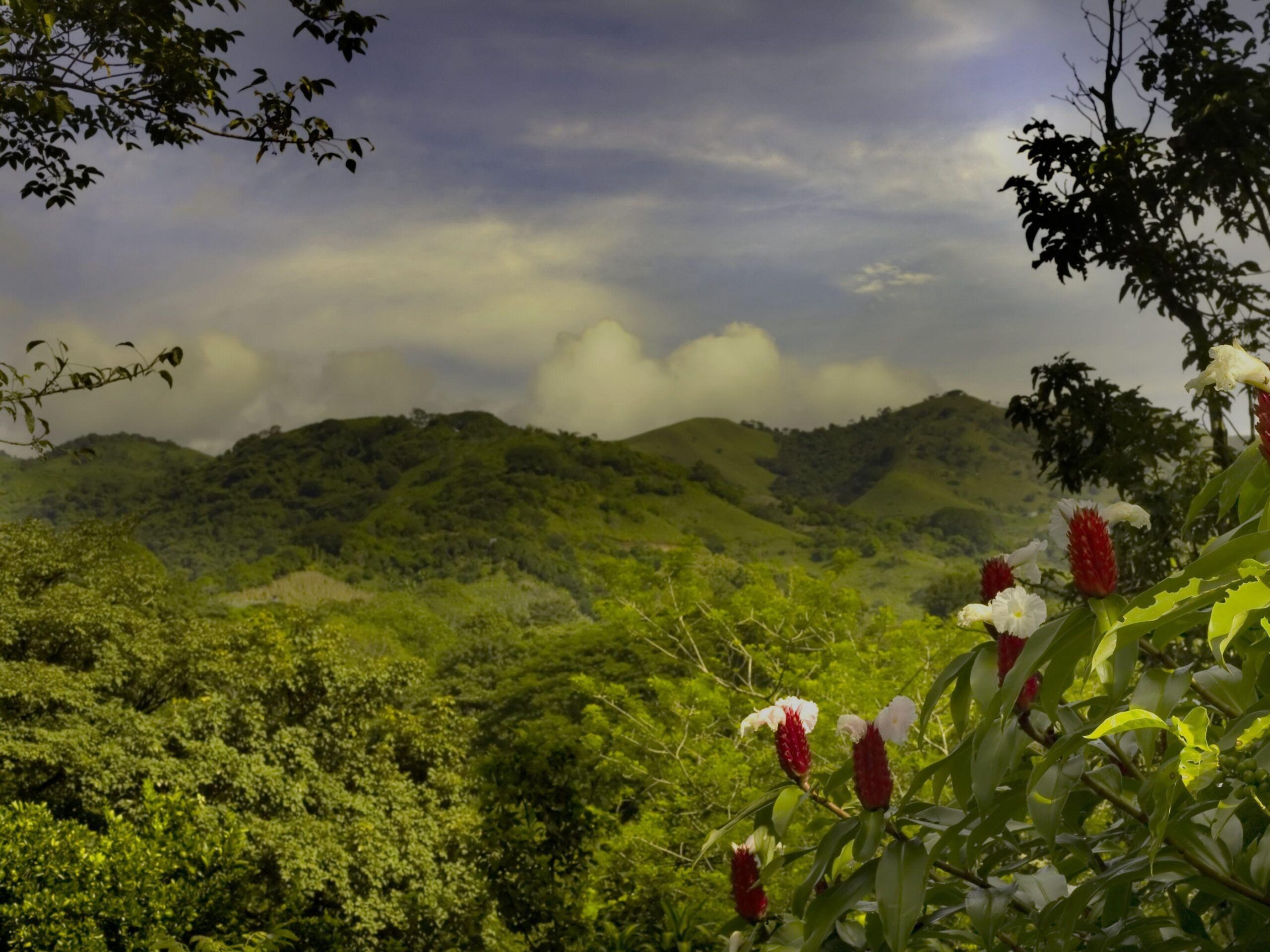 Landscape at Costa rica wallpapers and Wallpaper