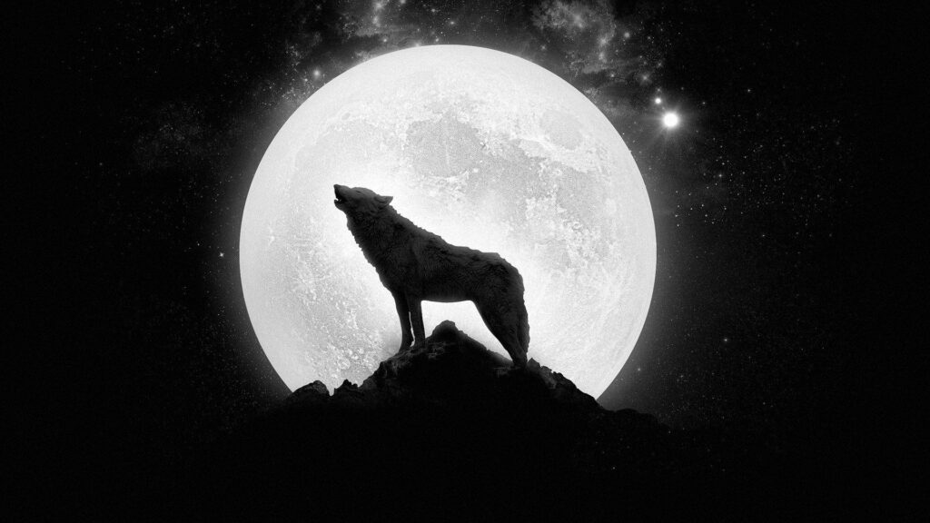 Wolf Super Moon Wallpapers Android