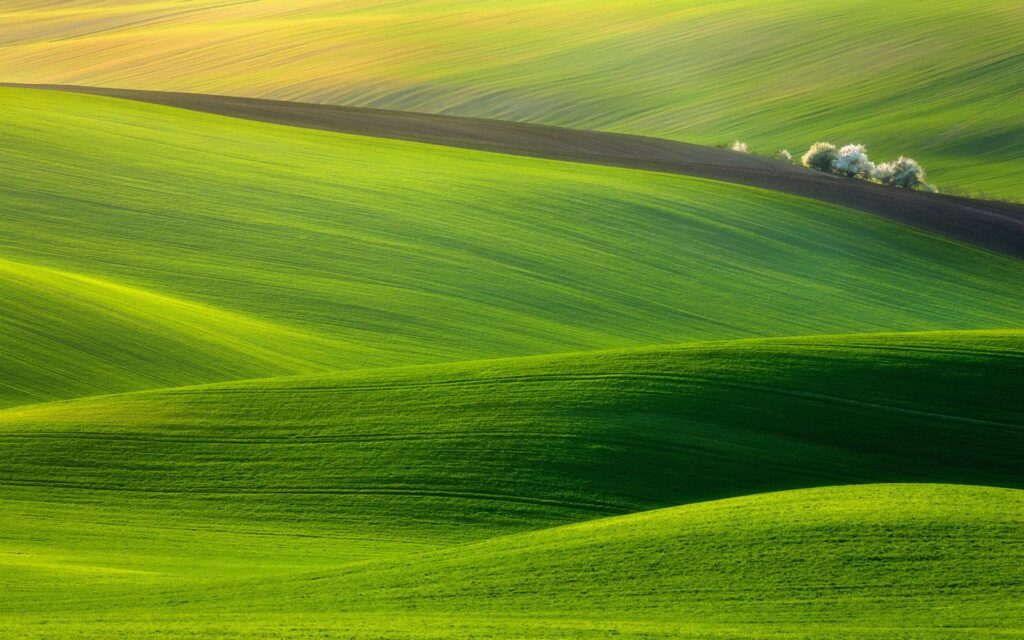 Daily Wallpaper Hills of Moravia, Czech Republic