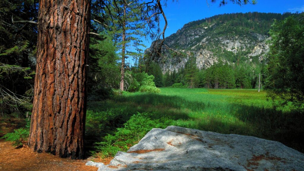 Zumwalt Meadow Trail, Sequoia and Kings Canyon National Parks