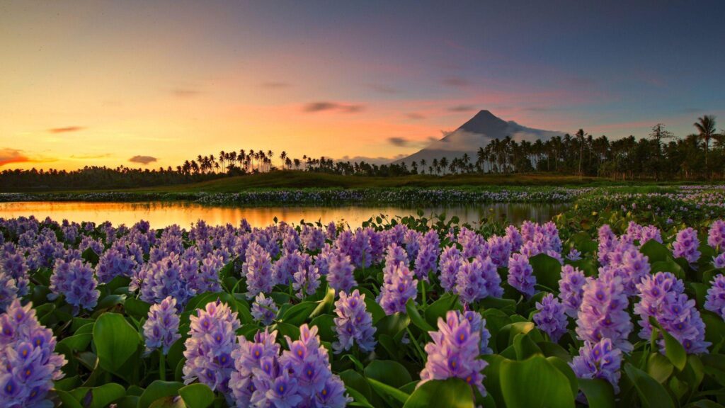 Mayon Volcano at distance, Philippines wallpapers
