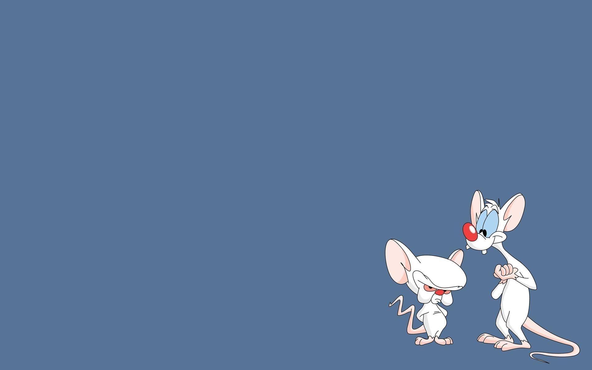 Pinky And The Brain Wallpapers