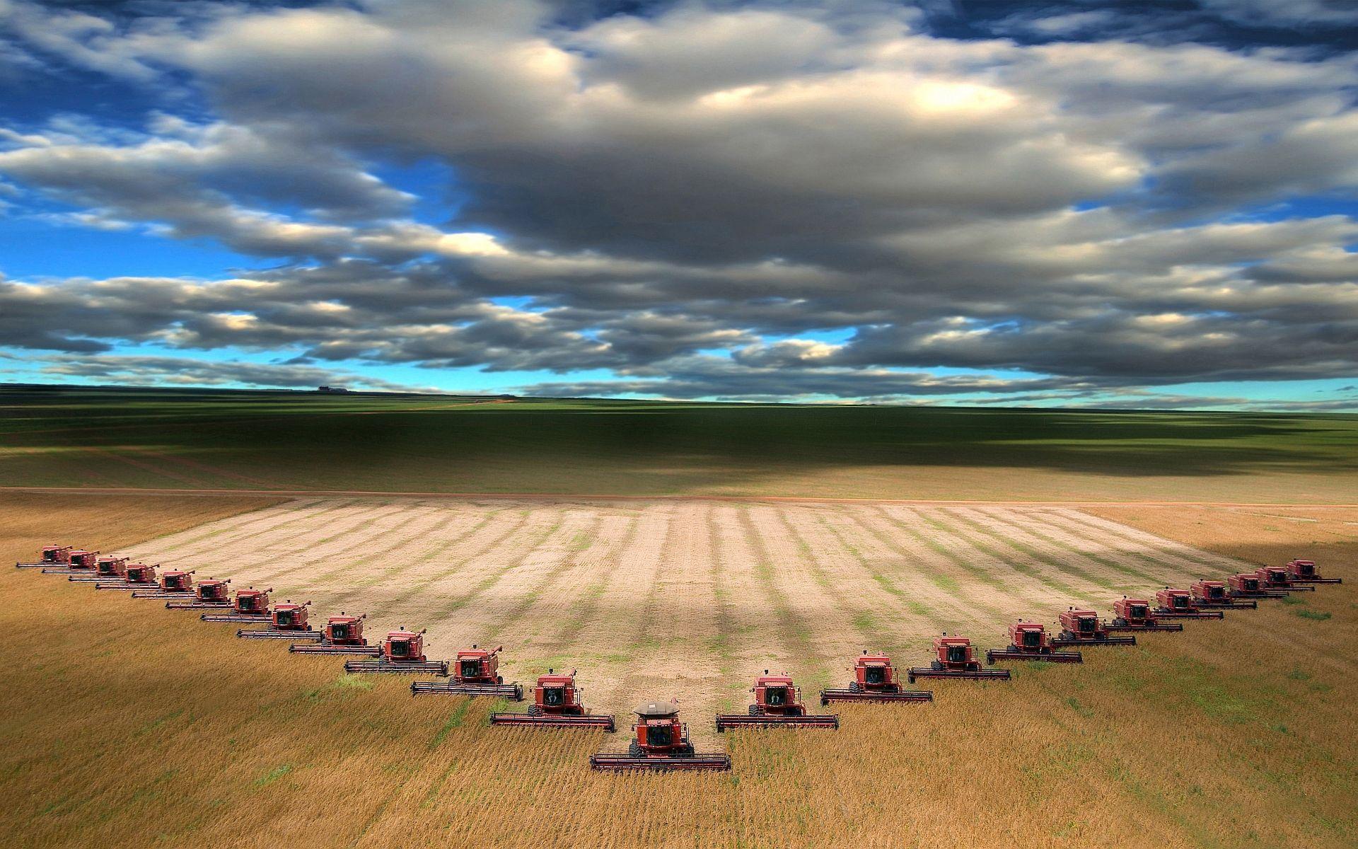 Combines harvesting wheat in I believe North Dakota