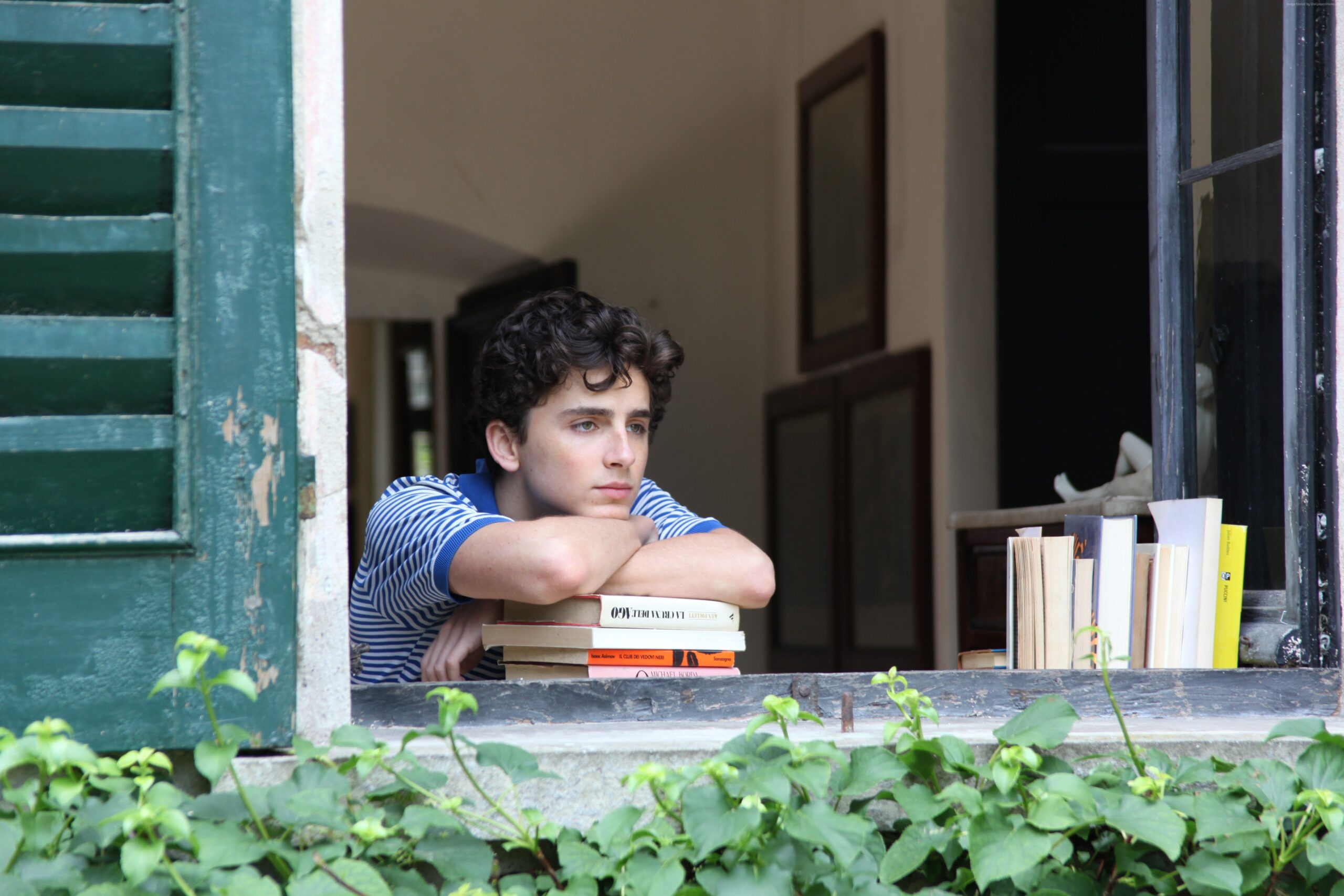 Wallpapers Call Me by Your Name, Timothee Chalamet, k, Movies