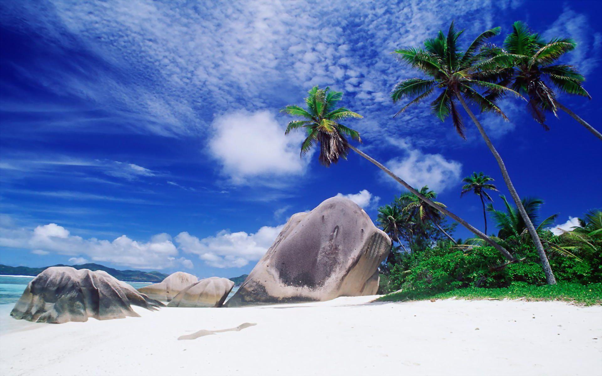 White Sandy Beach Seychelles Wallpapers