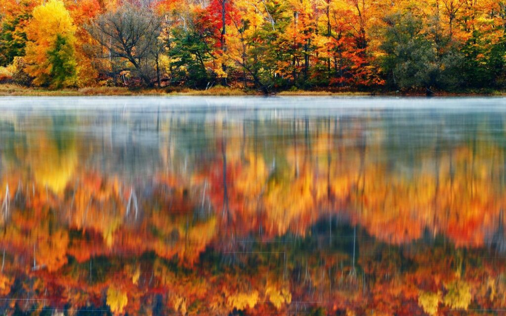 HD Morning Nature Usa Lake New Hampshire Reflection Autumn Fog