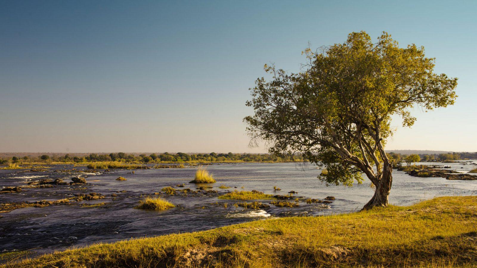 Lower Zambezi National Park – Comp