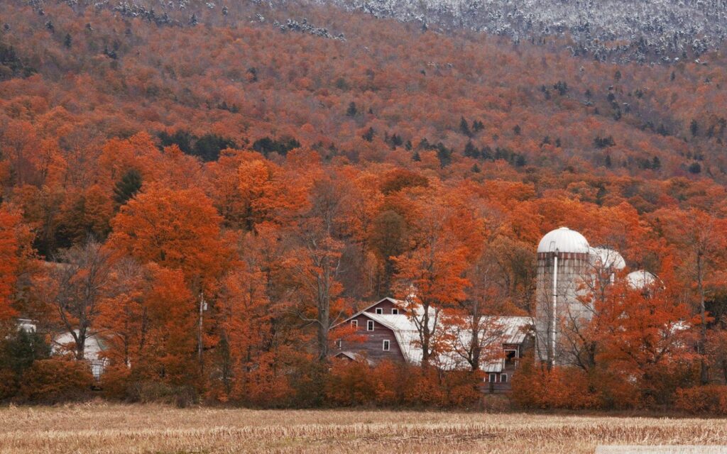 Indian Summer, Vermont ❤ K 2K Desk 4K Wallpapers for K Ultra HD