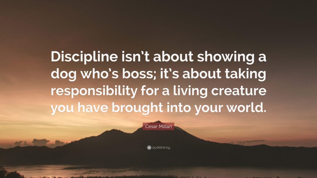 Cesar Millan Quote “Discipline isn’t about showing a dog who’s boss