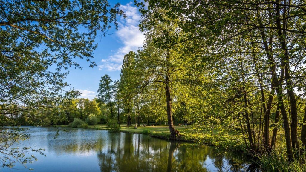 Bobovica Tag wallpapers Nature Trees Bobovica Summer Zagreb