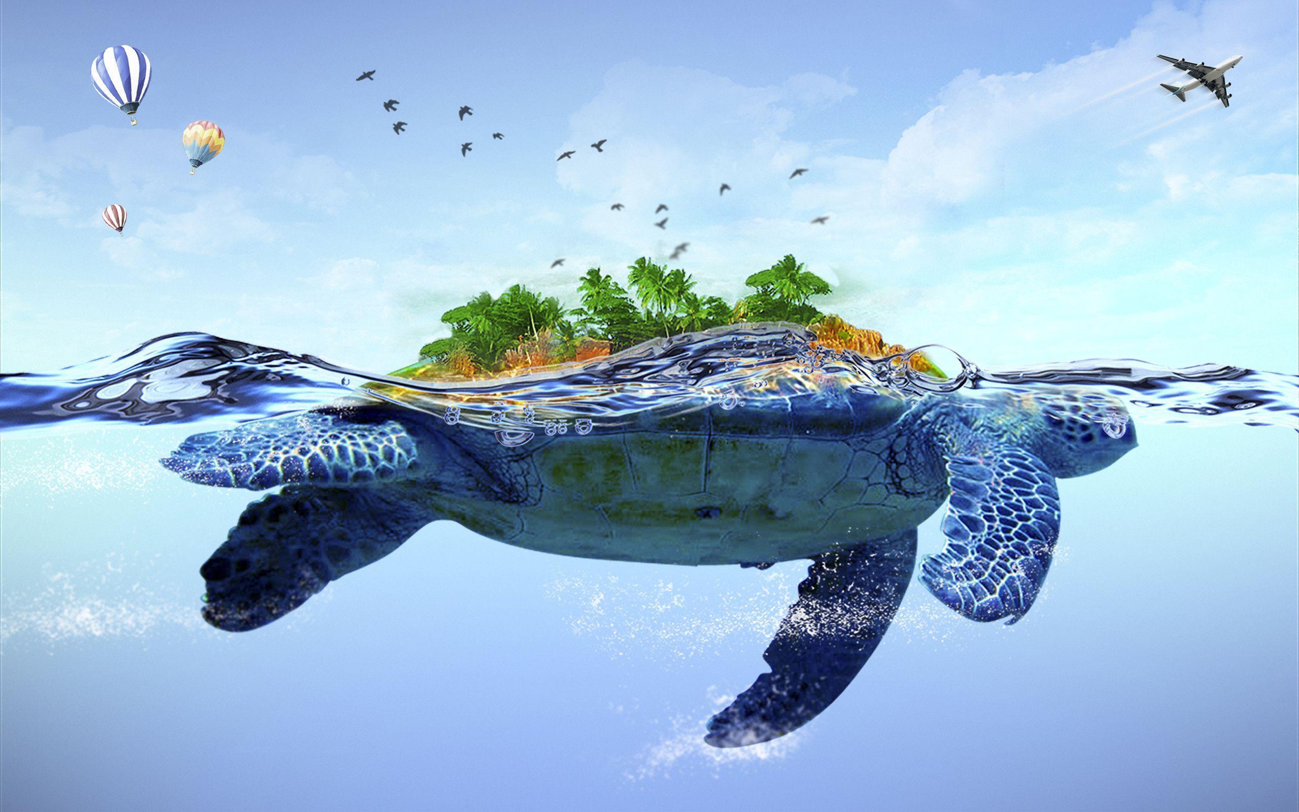Turtle Wallpapers