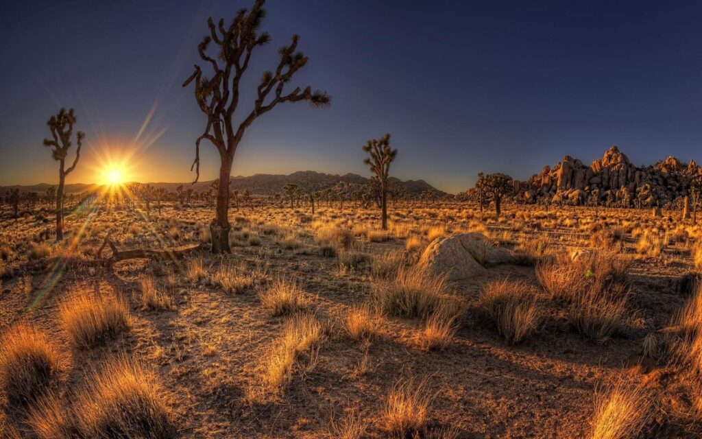 Arizona Wallpapers, Desk 4K Wallpaper of Arizona