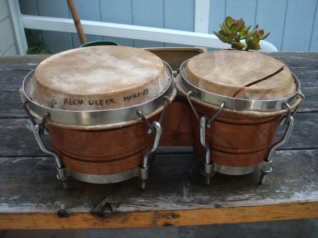 Rumba Instruments Cuban Bongo Project