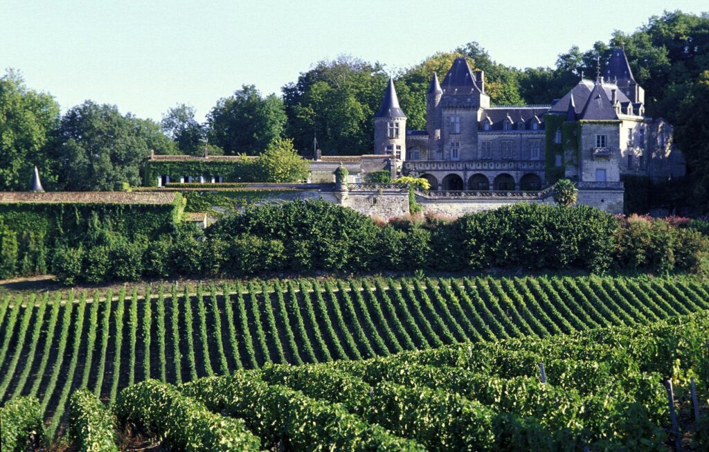 Vineyards in Bordeaux, France wallpapers and Wallpaper