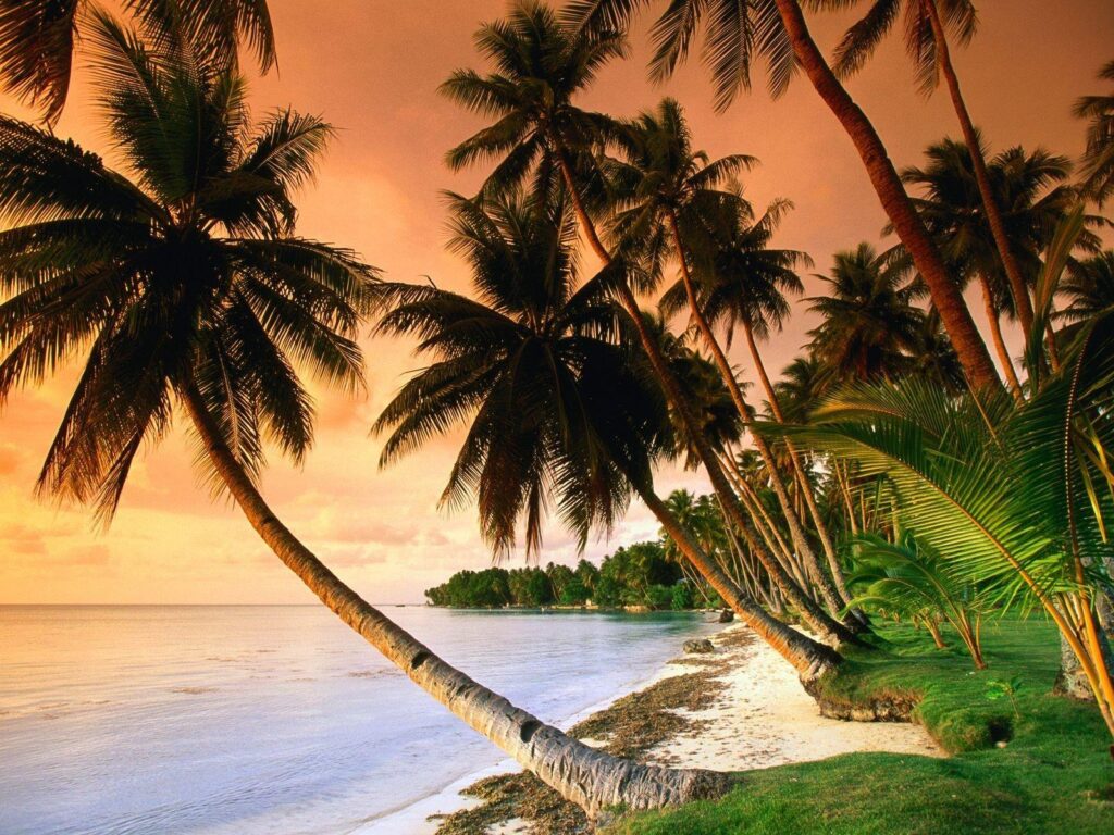 Beach BLUE LAGOON RESORT BEACH Nature Beaches Micronesia