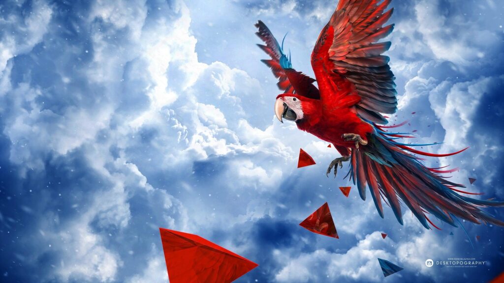 Scarlet Macaw Wallpapers and Backgrounds Wallpaper