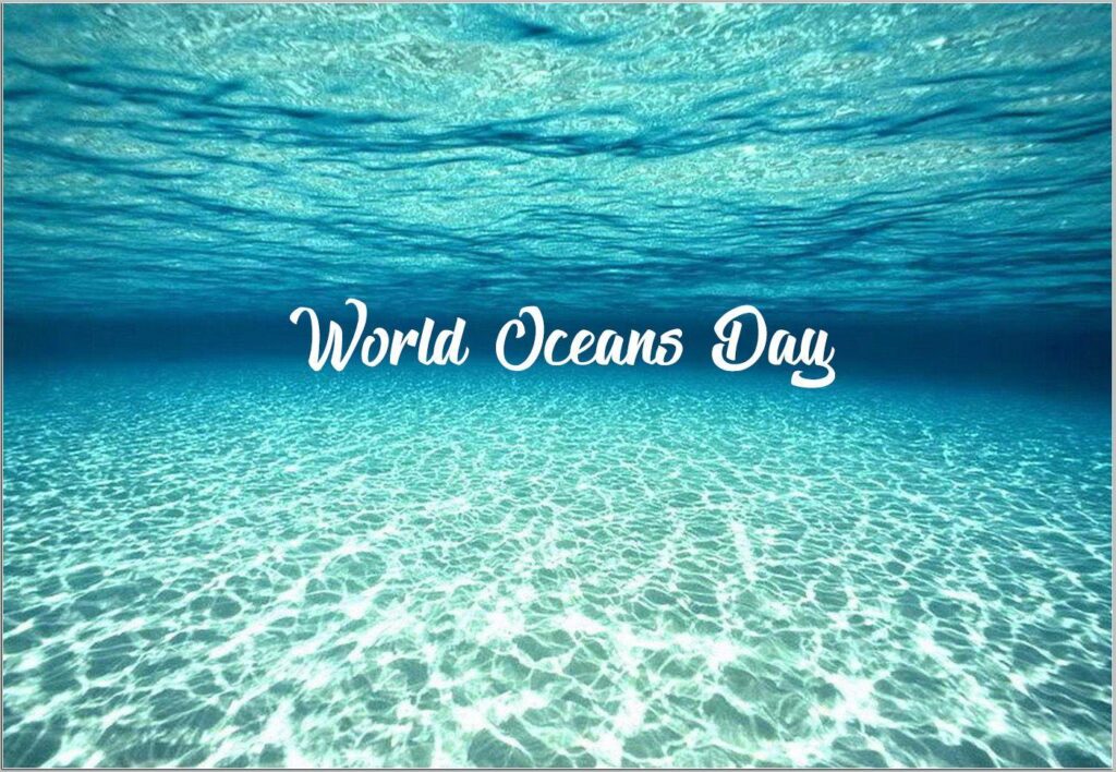 Happy World Oceans Day Under The Ocean