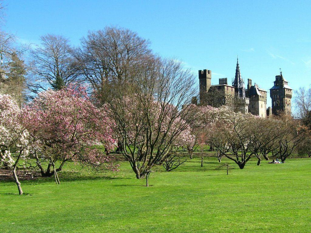 Cardiff Castle View Wallpapers