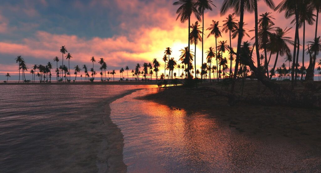 Palm Trees Sunset Sea, 2K Nature, k Wallpapers, Wallpaper, Backgrounds
