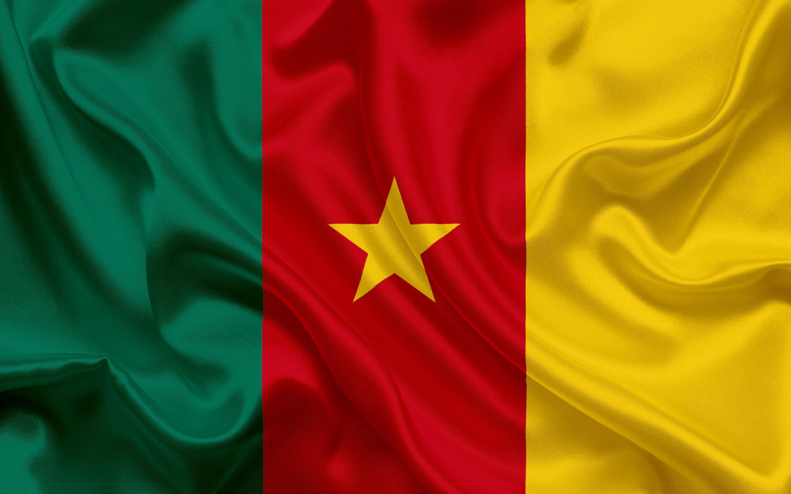 Download wallpapers Cameroon flag, Africa, Cameroon, national
