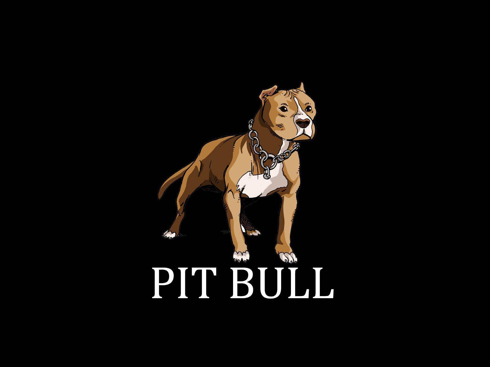 Painted pit bull terrier wallpapers