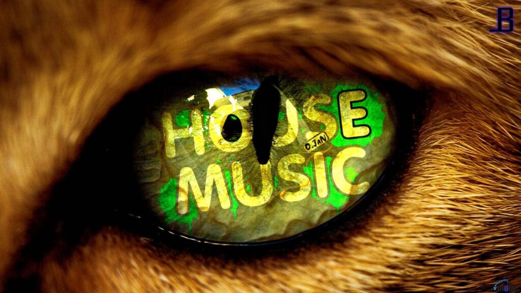 Music House Wallpaper Backgrounds 2K Wallpapers