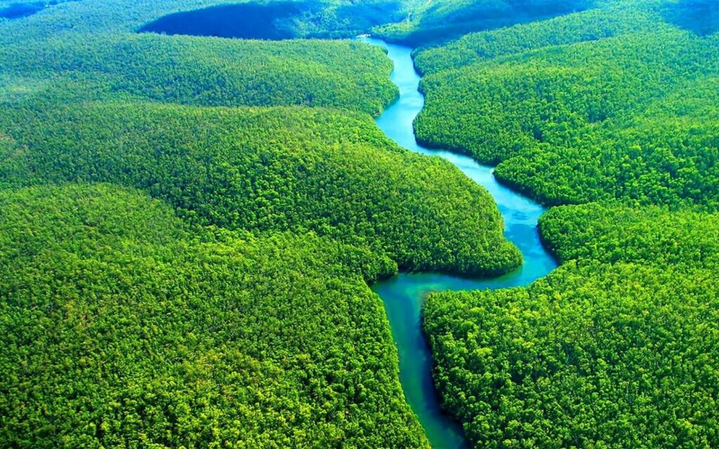Amazon Rainforest 2K Wallpapers