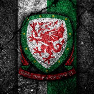 Wales National Football Team