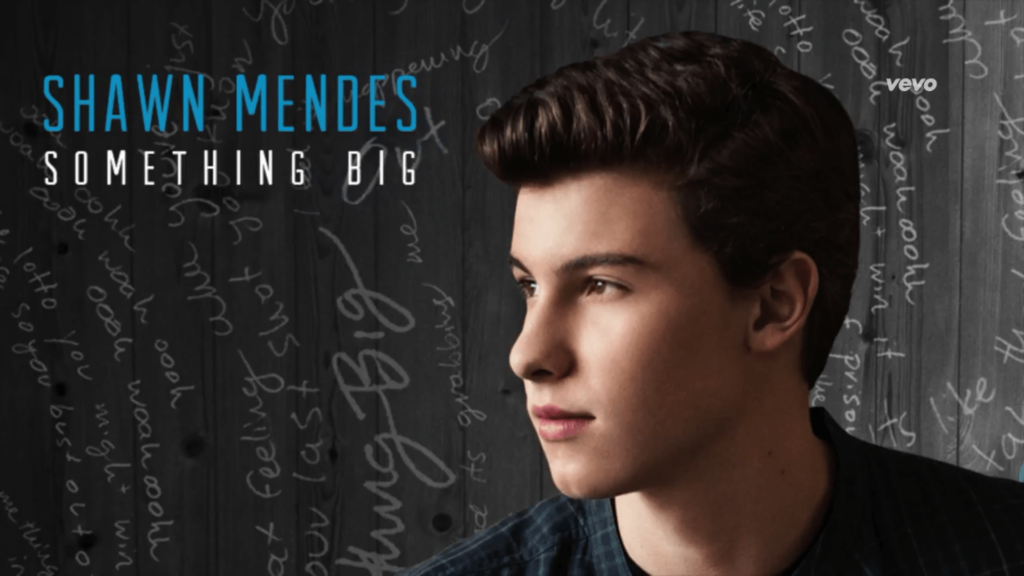Shawn Mendes –