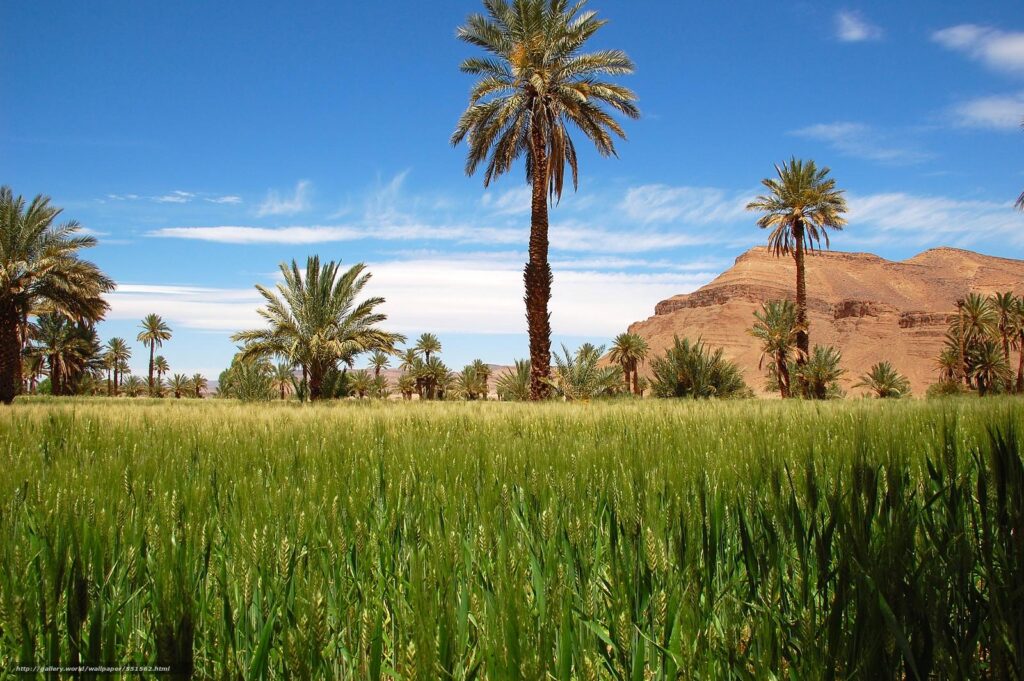 Download wallpapers Draa Valley, Morocco, landscape free desktop