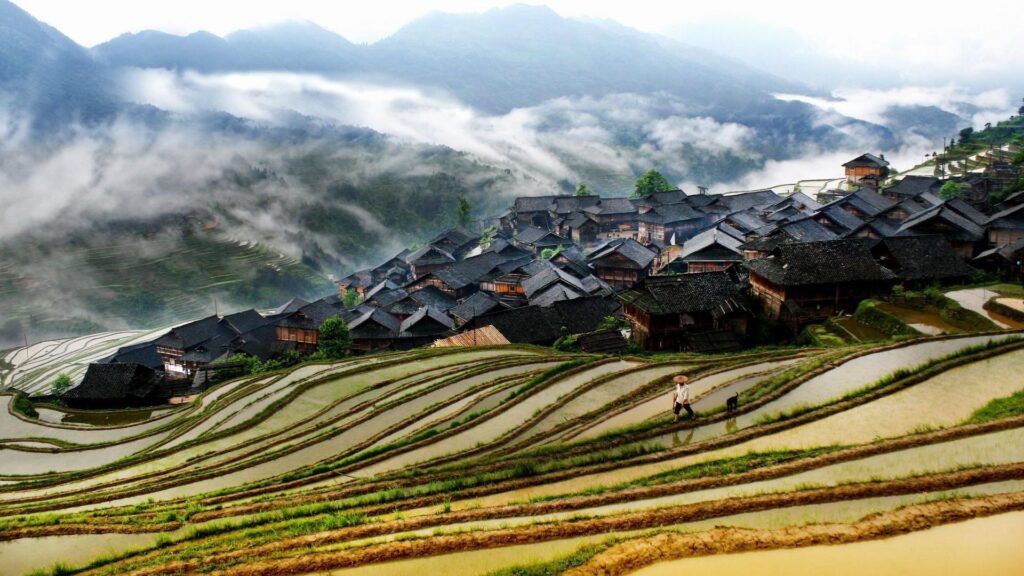 Terraces Tag wallpapers Stairways Banaue Rice Terraces Gallery