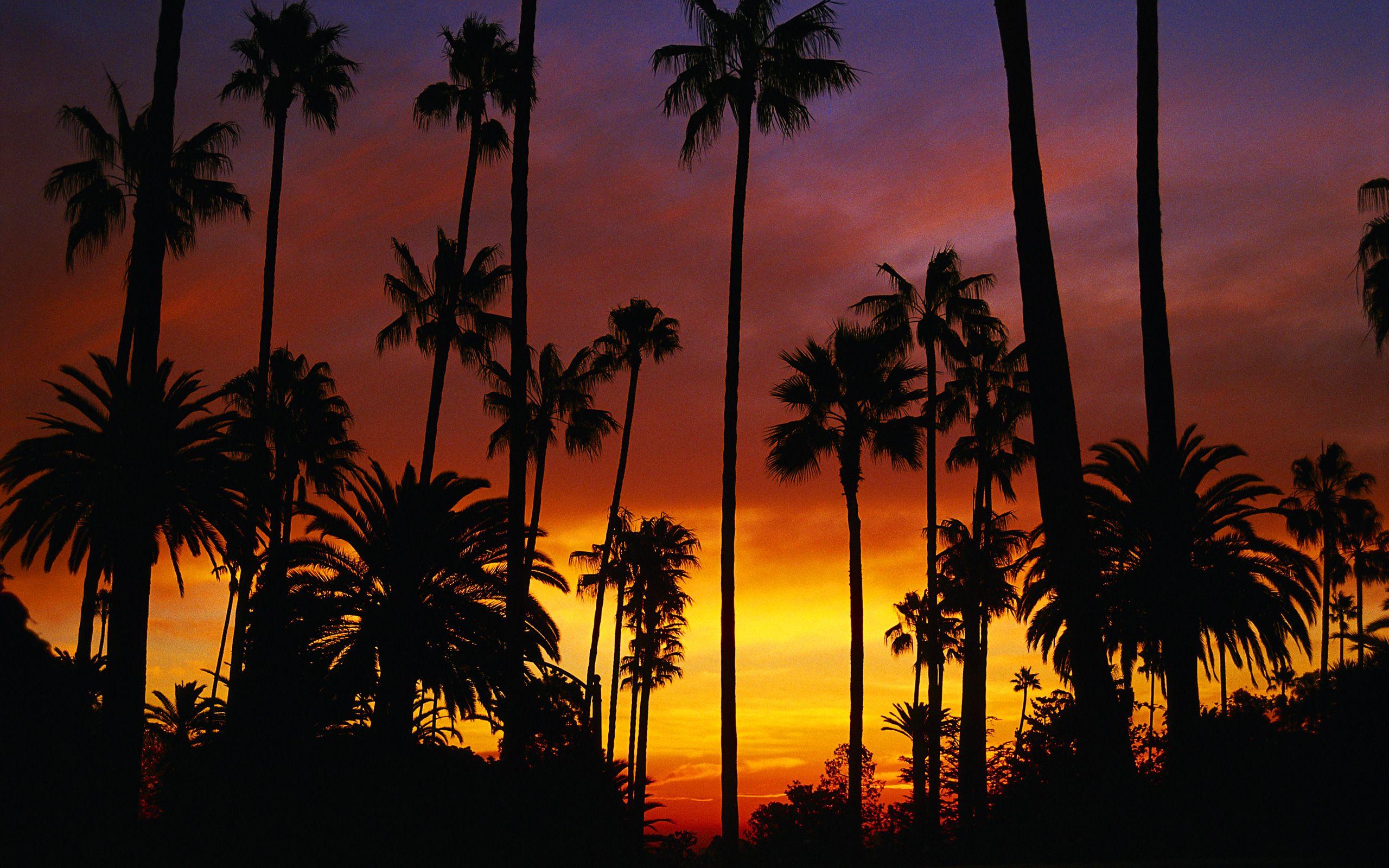 California backgrounds Collection