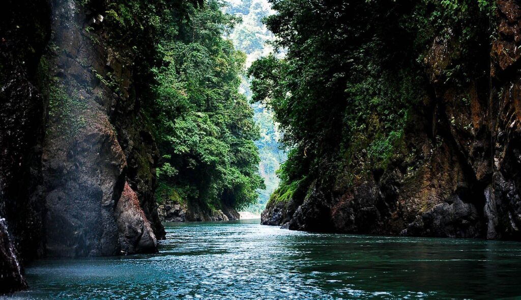 Pacuare River Day Expedition