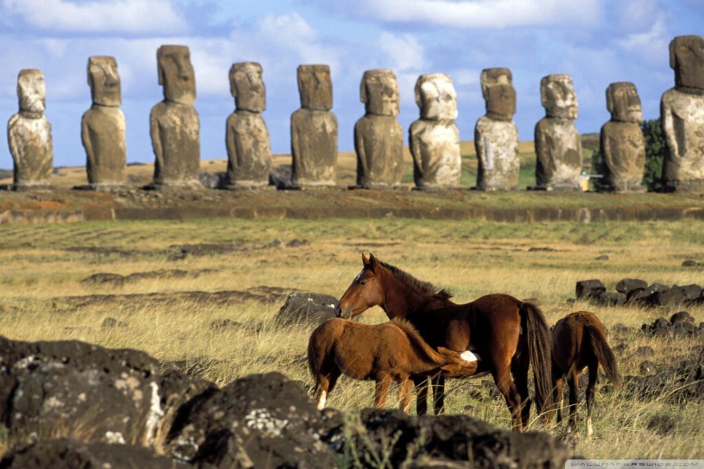 Download Great Horses Of Easter Island Chile Wallpapers