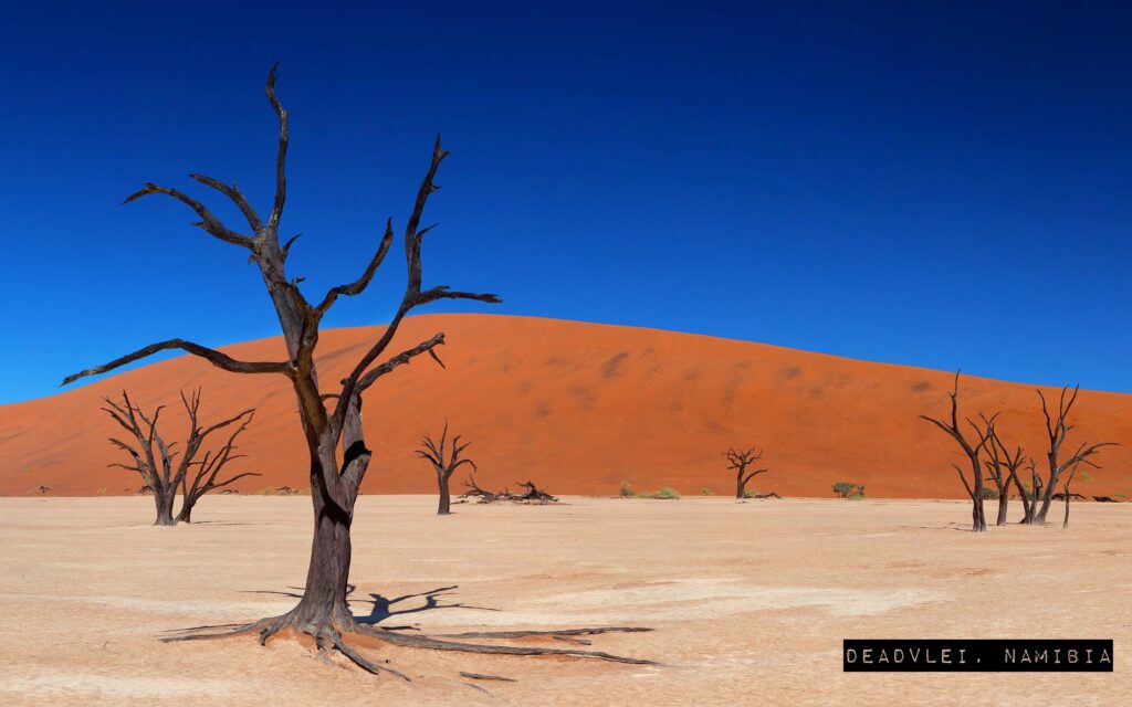 Deadvlei, Namibia