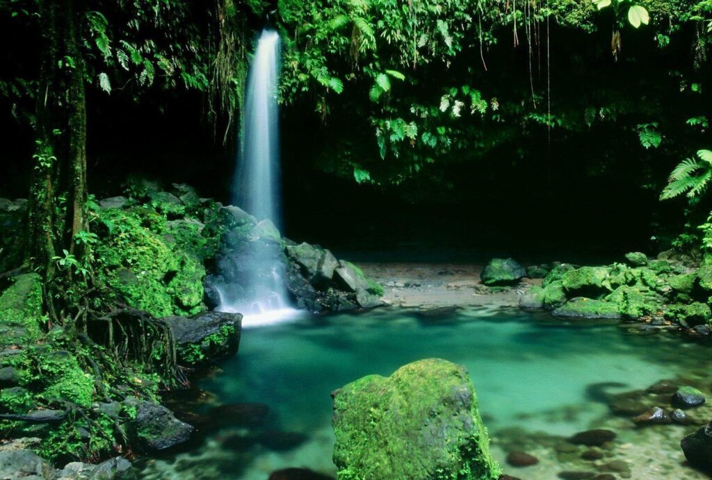 Beautiful Waterfall Greenery Serene Dominica Wallpapers 2K p