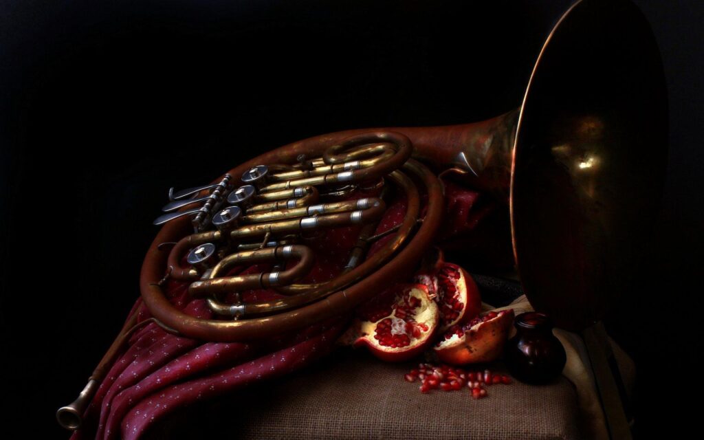 French horn pomegranates music 2K wallpapers