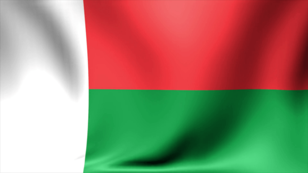 Madagascar Flag wallpaper Funny Wallpapers download free wallpapers