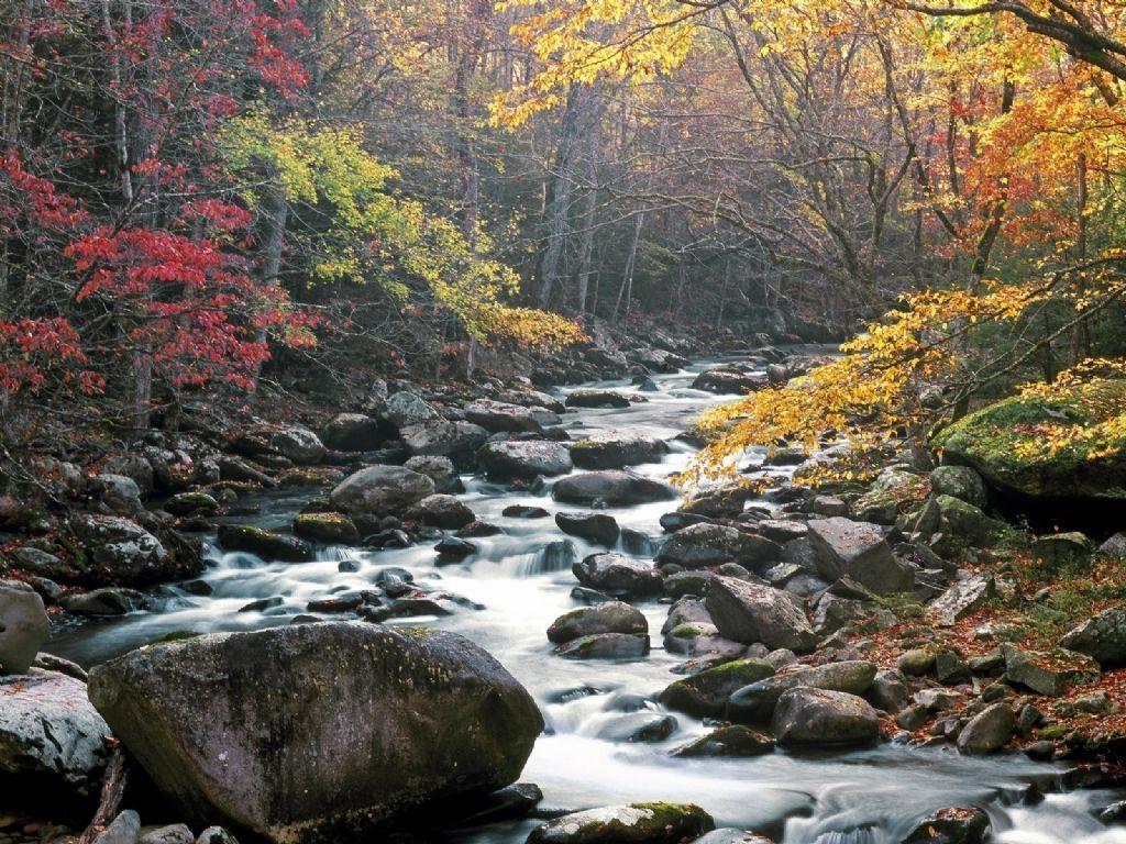 Nature Little River, Tremont, Great Smoky Mountains National Park