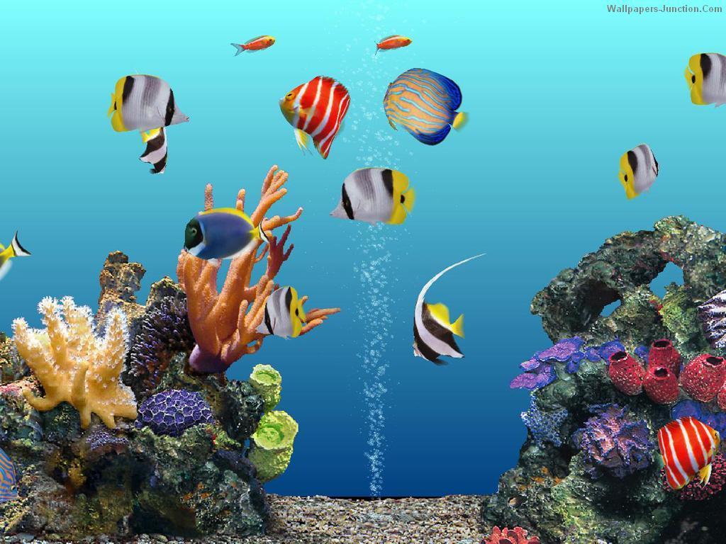 Download Free Aquarium Wallpapers