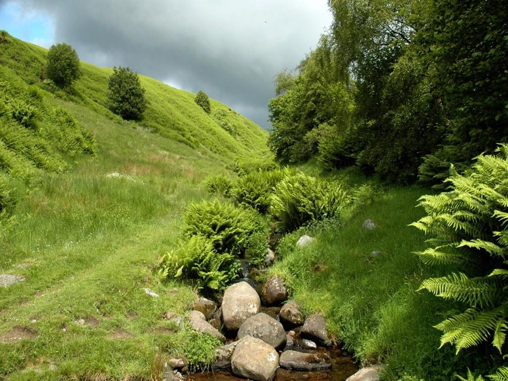 Caledonia Tag wallpapers Stream Grass Green Rock Sky Cloudy