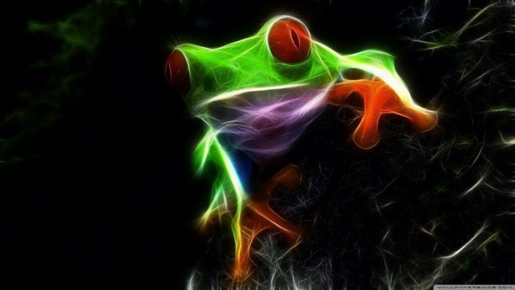 10 Red Eyed Tree Frog Wallpapers