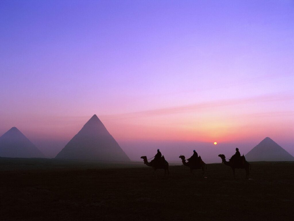 Sun, Egypt, camels, pyramids, Great Pyramid of Giza Wallpapers