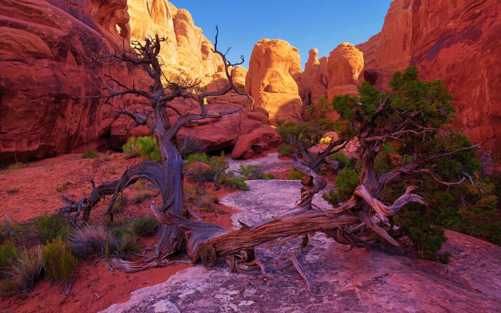 Fiery Furnace Arches National Park