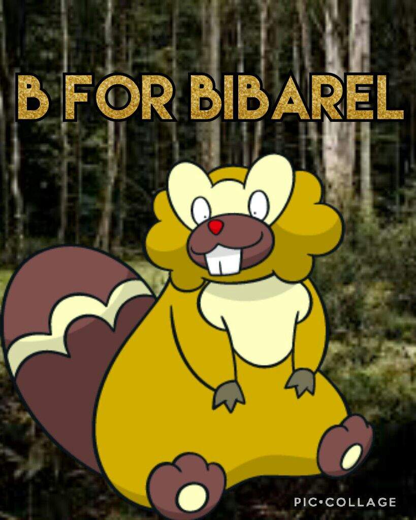 B for Bibarel