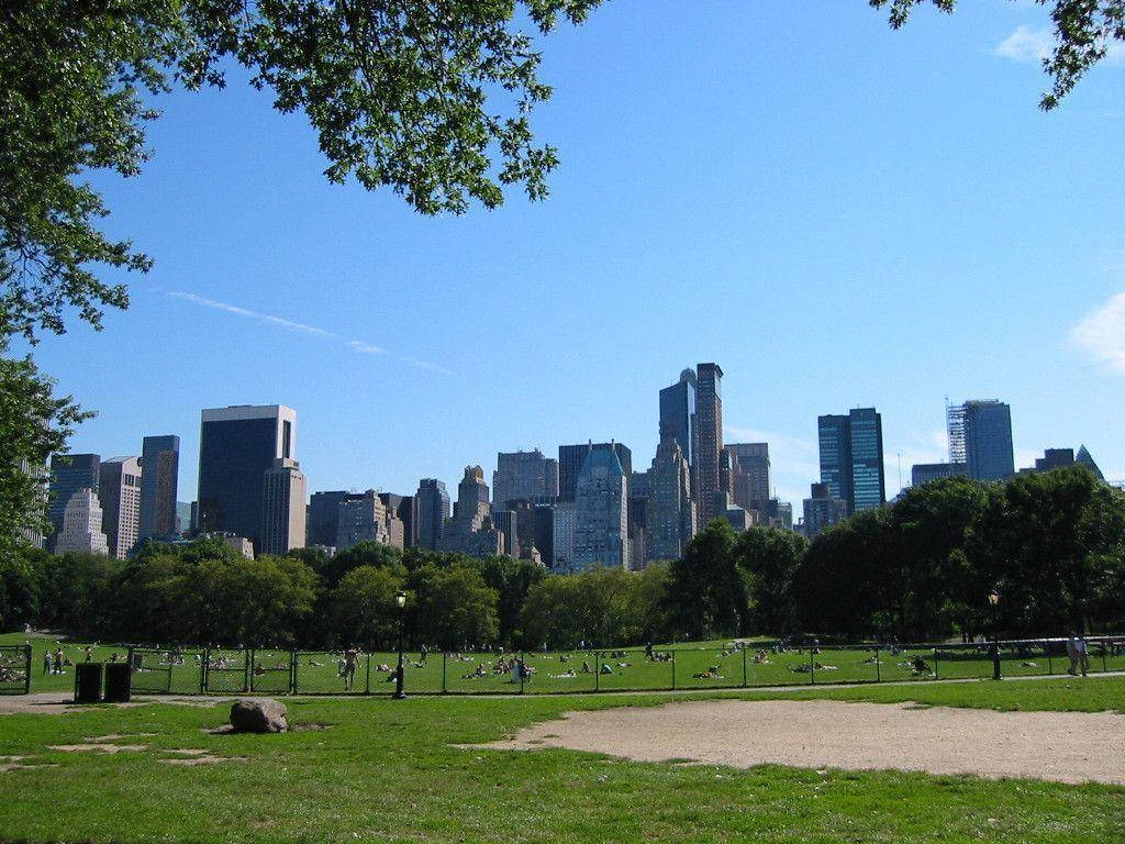 Central Park Randoms l great wallpapers Wallpaper